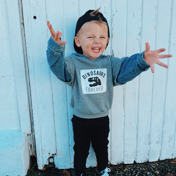 Dinosaur sweatshirt - Picture 4 of 4